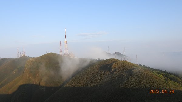 4/24陽明山再見雲瀑&觀音圈-雲山水花鳥蝶-天龍國阿伯的日常-首拍守城滿山紅&端紅蝶交尾1686981