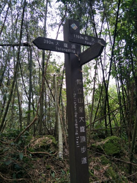 雲嘉七連峰1560729