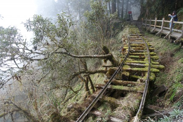 見晴懷古步道封面