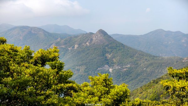 【海外健行】香港四徑 The Four Trails3031656