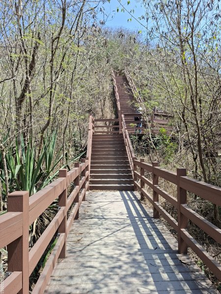 《高雄》泥岩惡地｜漯底山自然公園大O繞順訪永安、茄萣濕地202603133014684