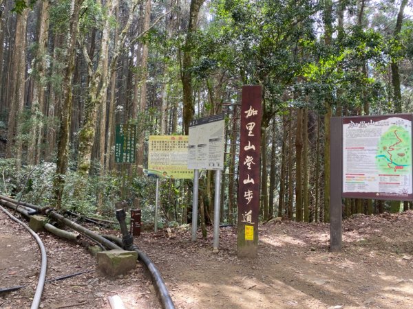 加里山2220公尺-鹿場登山口857426