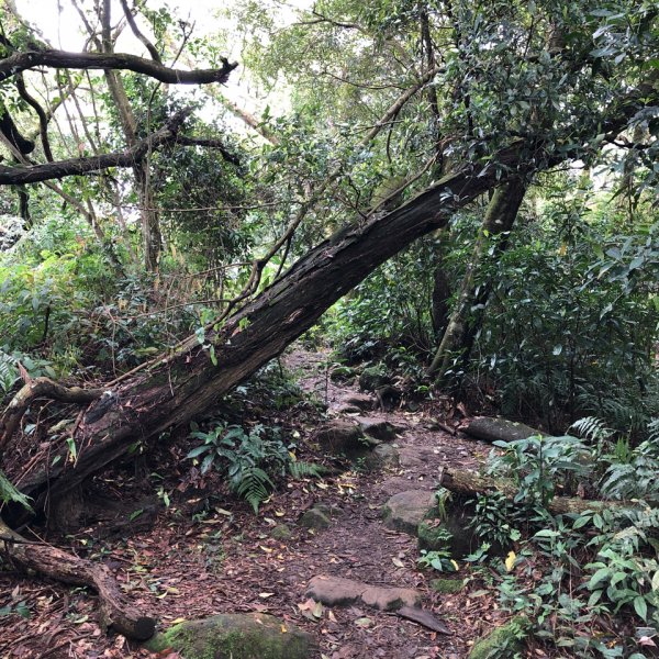 溪洲山登山口-新溪洲山-石門水庫897640