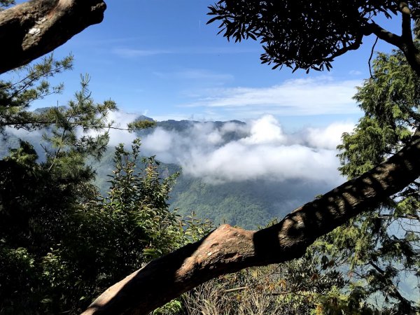 高島縱走（高台山連走島田山）202105081968742