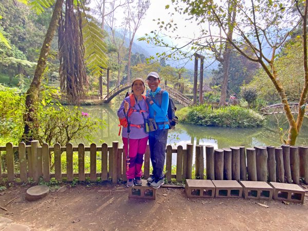 溪頭悠遊盡享森林浴 2020/11/191175773