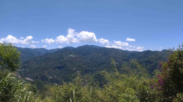 20250510福山古道隴頂步道健行:2791509