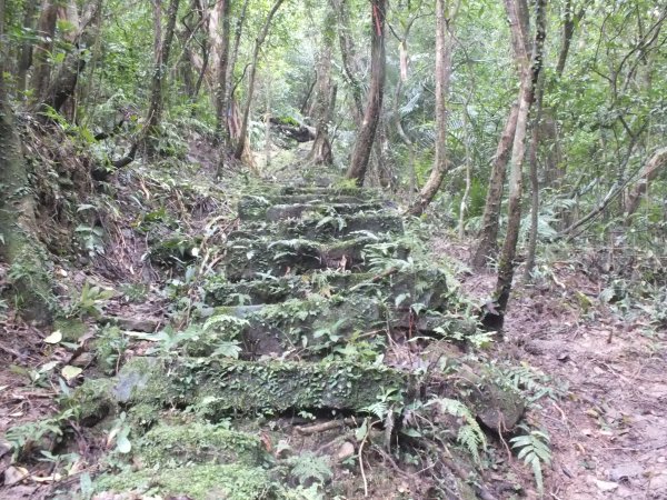 百二階古道+苕谷瀑布+逸仙山+泰和樓2734441
