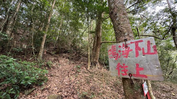 六龜警備道/茂林段/網子山～鳴海山2708197