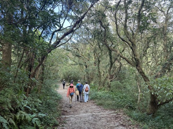 二子坪步道 經遊憩區 上面天山 202511082935044