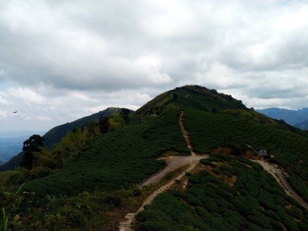 雲嘉五連峰+後棟仔山挑筍古道 望風斷崖958058