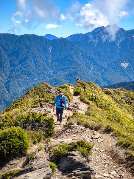 2025-11-07 合歡北峰、小溪營地、鷹石尖、北峰名樹2934335