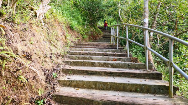 旗尾山,旗山老街與糖廠2672638