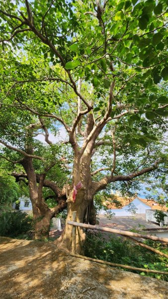 【恆春縱走】斯卡羅縱走2769704