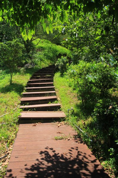 挑啊挑! 挑過山道 20190606759105