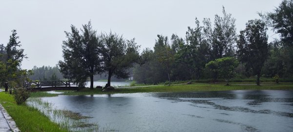 台東．森林公園202508013019165