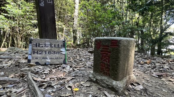 大板根+北坑山+東洗水山2551680