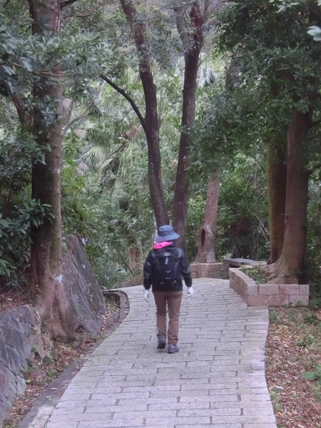 碧湖公園．碧湖步道．大溝溪95953