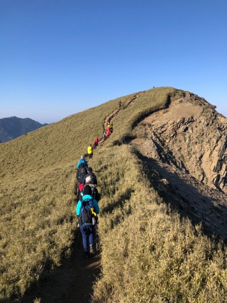 合歡山五座百岳賞杜鵑花587090