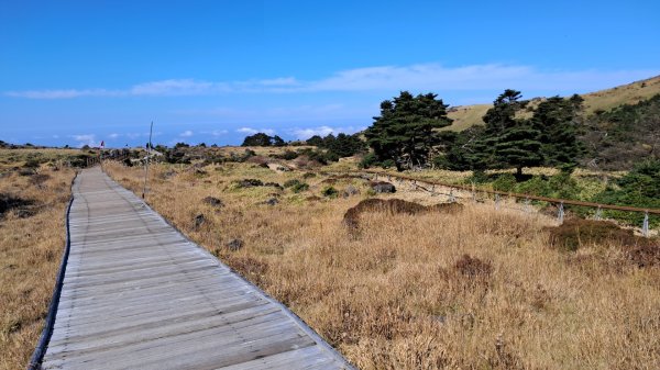 濟州島漢拏山-御里牧路線下2942703