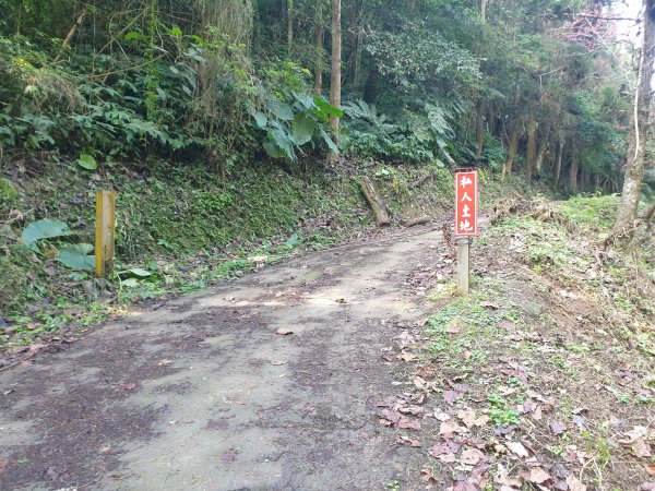 水頭排山連走薯園山1583275