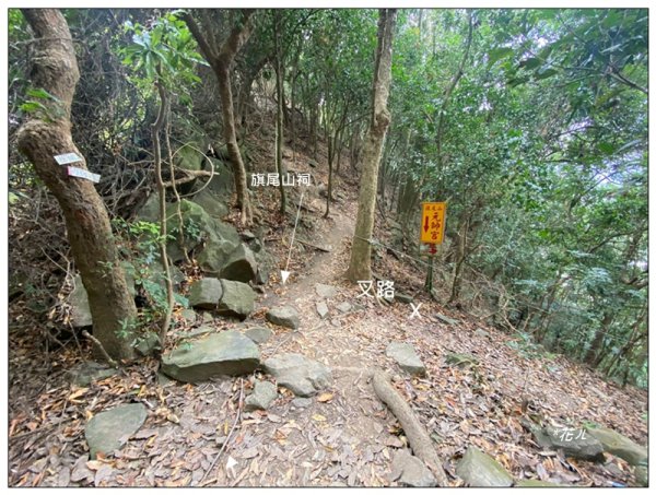 旗靈縱走(旗尾山、福美山、金字面山、人頭山、靈山)2996474