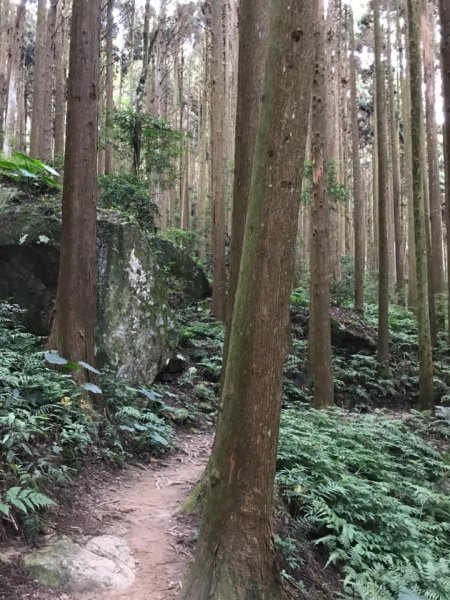 加里山鹿野線461346