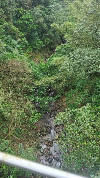 2025-01232淡蘭古道北二段(燦光寮古道到澳底)2696571