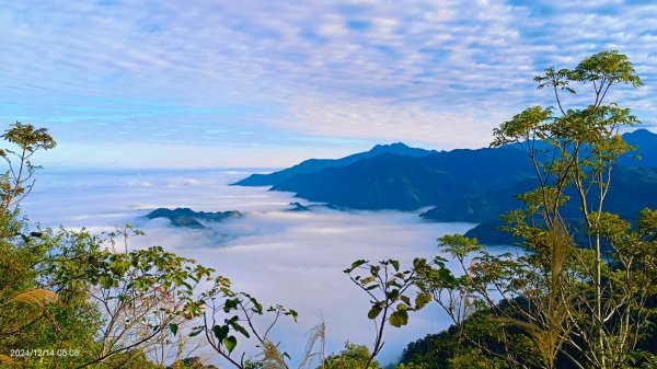 二訪馬拉邦山，解鎖 #琉璃光雲海 #日出雲海  #血月 #斜射光 #楓葉紅了！2668567