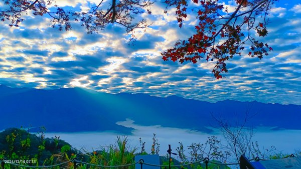 二訪馬拉邦山，解鎖 #琉璃光雲海 #日出雲海  #血月 #斜射光 #楓葉紅了！2668629