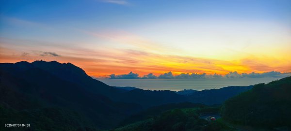 天龍國阿伯的日常-雲山水花鳥蝶 #日出 #牡丹蓮 #香水蓮 #手機拍攝 賞蝶趣 7/42826974
