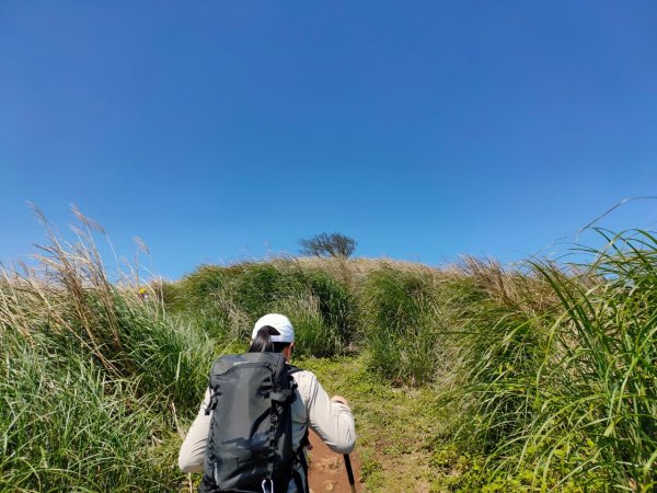 大屯山泥巴滑溜溜914386