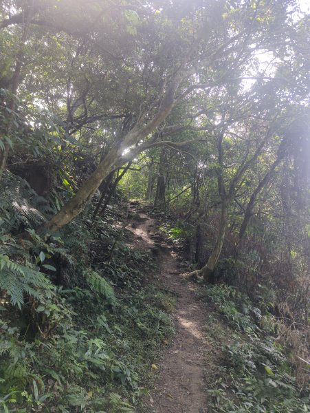 2026.01.25－微笑山線：【天上山系】烘爐地土地公段2994585