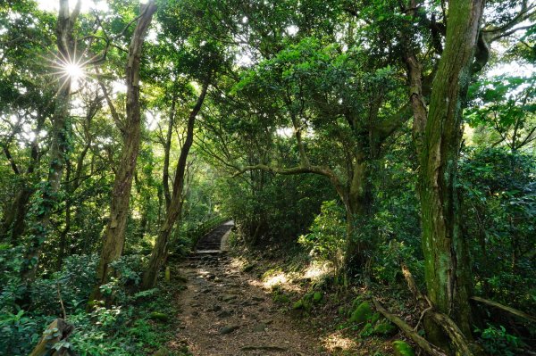 新竹 芎林 飛鳳山、中坑山、石壁潭山3050422
