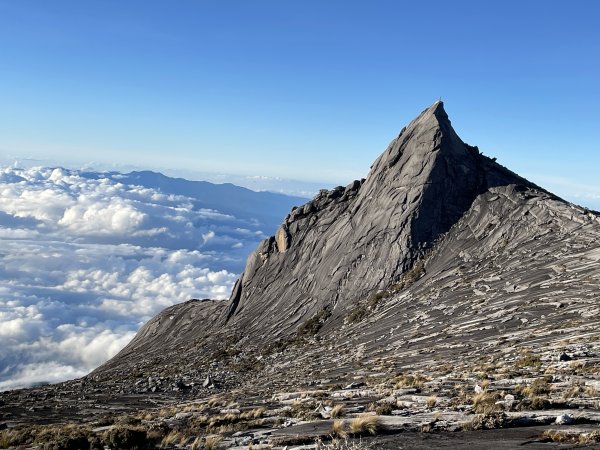 馬來西亞神山：日出、大景、豬籠草 Malaysia's Kinabalu2997553