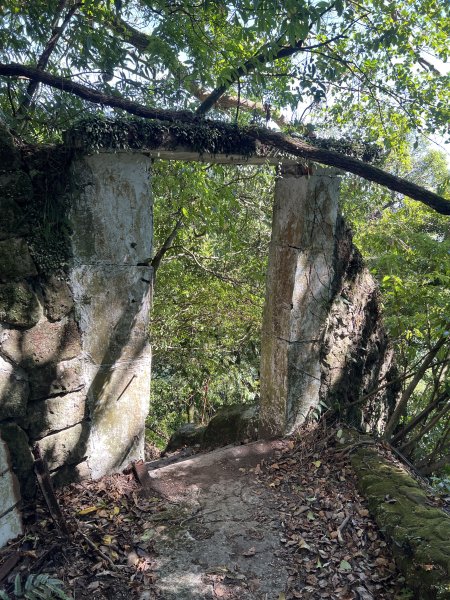 2025山之精靈2910554