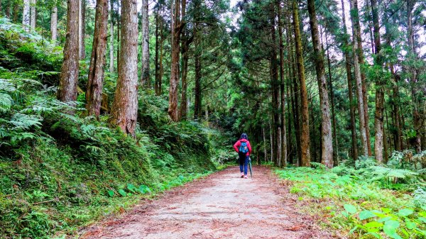 油羅山(一上三下)2959194