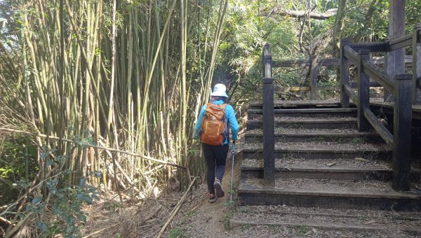 (姨婆趴趴走)第四十九集:攀登連走宜蘭梗枋山、橋板湖山2747731