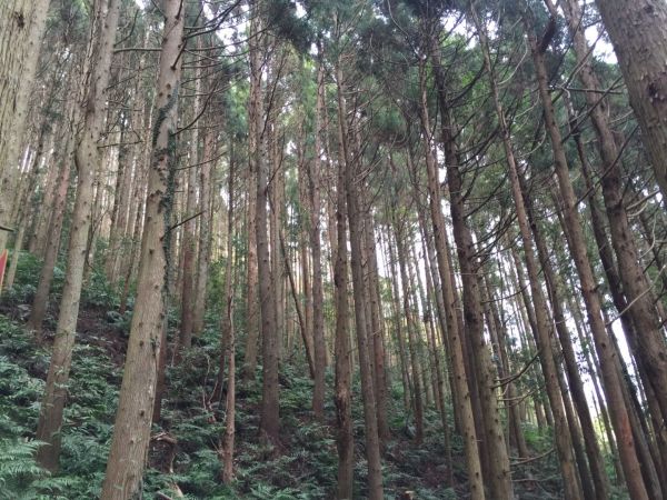 高島縱走156260