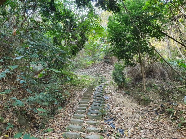 南觀音山步道（小百岳）1259916