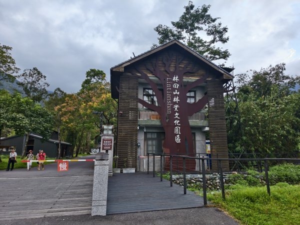 [漫遊縱谷 愛在花東-08/10] 2025_1012 林田山林業文化園區步道2913507