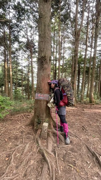 北ㄧ段-審馬陣-南湖北山-南湖北峰-南湖大山-南湖東峰2859101