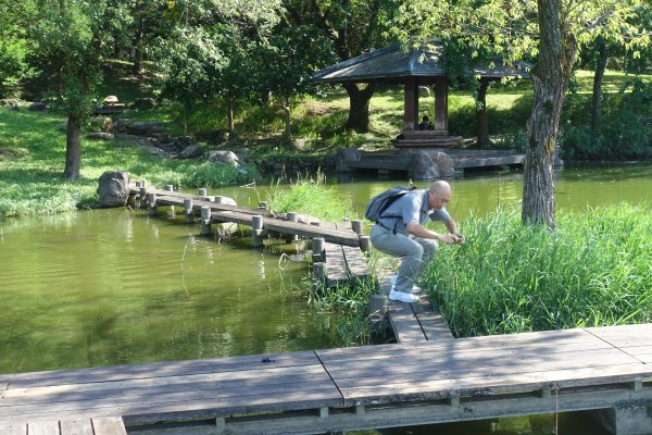羅東運動公園3088616