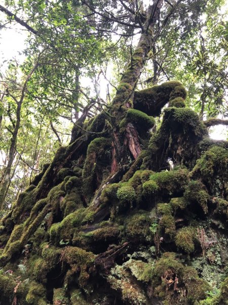 福巴越嶺古道上拉拉山（達觀山）1748389