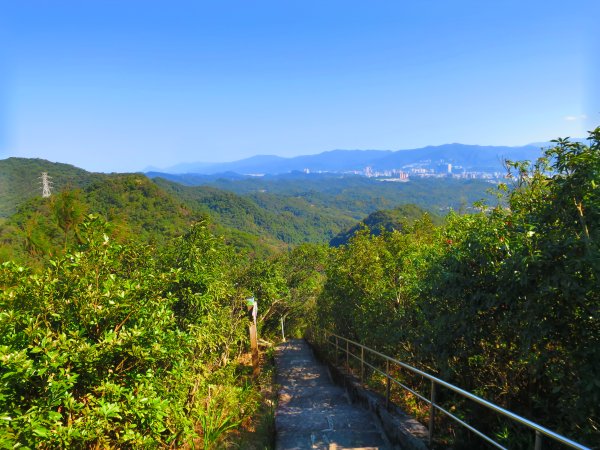 龍年首登的好選擇，鯉躍龍門，搭捷運來內湖爬三尖，鯉魚山、忠勇山、圓覺尖2426508