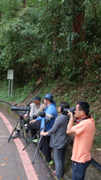 【春夏之際】20150501大雪山林道17840