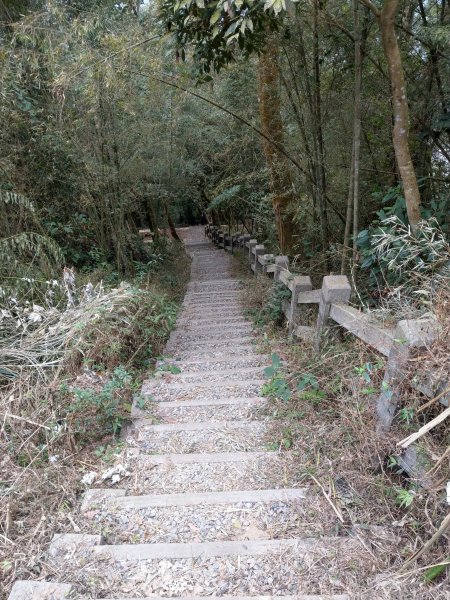 梨子腳山(小百岳#57) & 太平雲梯 (2021/1/29)1423204