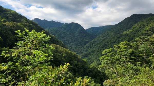 塔曼山，拔刀爾山，美鹿山南峰，內洞林道，大刀山，啦卡登山步道，桃園枕頭山，阿姆坪生態公園，大溪坪古道1795599