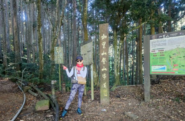 加里山3122410