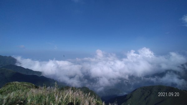 久違了 ! 陽明山再見雲海&觀音圈+夕陽&中秋月圓1463873