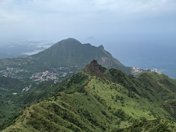 劍龍稜無耳茶壺山1468094